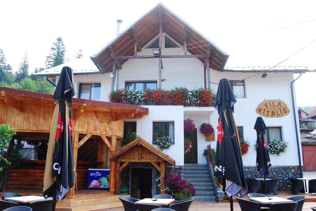 Vila Vitalis Predeal Exterior photo